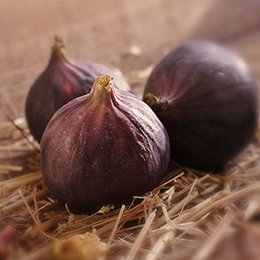 Production de Solliès-Pont (Var)